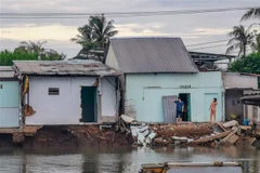 Cần Thơ đầu tư hơn 270 tỷ đồng xây kè chống sạt lở sông Trà Nóc