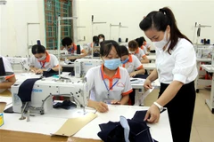 Cơ sở giáo dục nghề nghiệp không cập nhật văn bằng sẽ bị đình chỉ 