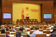 Quốc hội thông qua dự án luật. (Ảnh: Phương Hoa/TTXVN)