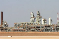 Một nhà máy khí đốt nằm về phía Nam của thủ đô Algiers. (Nguồn: AP)