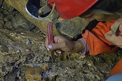 Nhà khoa học Colombia tìm thấy một kho tàng cổ sinh vật học trong một hang động tại bang miền Bắc Santander. (Nguồn: colombiareports.com)