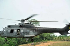 Ảnh chỉ có tính minh họa. (Nguồn: newsx.com)