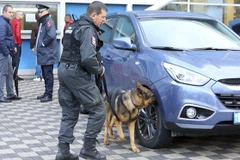 Cảnh sát và chó nghiệp vụ kiểm tra an ninh cho các trận đấu thuộc vòng loại World Cup tại thành phố Elbasan, Albania. (Nguồn: AP)