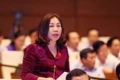 Đại biểu Quốc hội Hà Nam Trần Thị Hiền phát biểu ý kiến. (Ảnh: Nguyễn Dân/TTXVN)