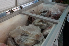 Ảnh chỉ có tính minh họa. (Ảnh: Đậu Tất Thành/TTXVN)