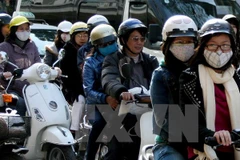 Ảnh chỉ có tính minh họa. (Ảnh: Quý Trung/TTXVN)