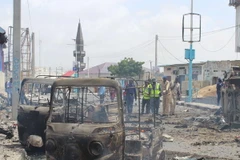 Ảnh minh họa. (Nguồn: THX/ TTXVN)