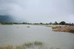 (Ảnh: Hoài Thu/TTXVN)