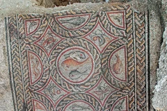 (Nguồn: haaretz.com)