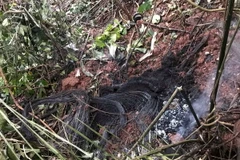 Các bộ phận của máy bay Su22 rơi tại hiện trường. (Ảnh: Bích Huệ/TTXVN)