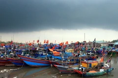 Tàu cá neo đậu tại khu vực cảng cá Ngọc Hải, quận Đồ Sơn (Hải Phòng). (Ảnh: An Đăng/TTXVN)