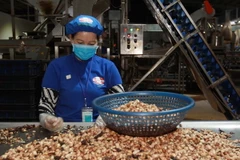 Ảnh minh họa. (Ảnh: Thanh Vũ/TTXVN)