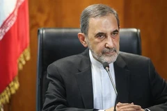 Cố vấn cấp cao của Lãnh đạo tối cao Iran Ali Khamenei, ông Ali Akbar Velayati. (Nguồn: PressTV)