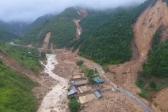 (Ảnh minh họa: Quý Trung/TTXVN)