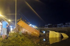 (Ảnh minh họa: Văn Đạt/TTXVN)