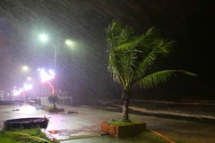 (Ảnh minh họa: Thành Đạt/TTXVN)