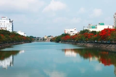 Hoa phượng nở dọc bờ hồ Tam Bạc - trung tâm thành phố Hải Phòng. (Ảnh: Lâm Khánh/TTXVN)