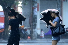 Ảnh minh họa. (Nguồn: AFP/ TTXVN)