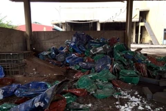 (Ảnh minh họa: Đoàn Mạnh Dương/TTXVN)