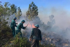 Ảnh chỉ có tính minh họa. (Ảnh: Nguyễn Oanh/TTXVN)