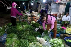 Giá một số hàng rau-củ-quả sau Tết tăng khoảng 5% so với trước Tết. (Ảnh: Vũ Sinh/TTXVN)
