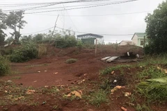 Đắk Nông: Khởi tố thêm bốn cán bộ tham mưu cấp đất trái quy định