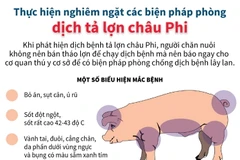 Thực hiện nghiêm ngặt các biện pháp phòng dịch tả lợn châu Phi