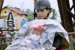 Ảnh chỉ có tính minh họa. (Ảnh: Lâm Khánh/TTXVN)