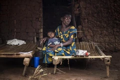 Trẻ em nhiễm sốt rét tại Muma, CHDC Congo. (Nguồn: AFP/TTXVN)