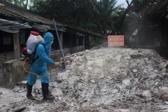 Lực lượng thú y phun thuốc tiêu độc khử trùng tại điểm bùng phát dịch tả lợn châu Phi ở xã Định Long. (Ảnh: Trịnh Duy Hưng/TTXVN)