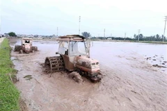 Nông dân xã Yên Bắc, huyện Duy Tiên làm đất để sản xuất vụ Đông Xuân. (Ảnh: Vũ Sinh/TTXVN)