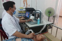 (Ảnh minh họa: Tường Quân/TTXVN)