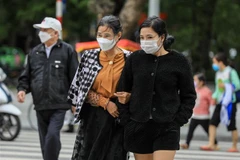 (Ảnh minh họa: Thành Đạt/TTXVN)