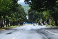 Cảnh vắng vẻ tại một tuyến phố ở Brasilia, Brazil khi các biện pháp hạn chế được áp dụng nhằm ngăn dịch COVID-19 lây lan ngày 28/2. (Ảnh: AFP/TTXVN)