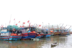 (Ảnh minh họa: Nguyên Lý/TTXVN)