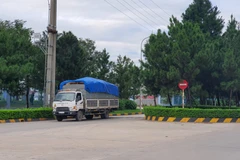 Cảnh quan tại các khu công nghiệp ở Vĩnh Phúc. (Ảnh: Trọng Lịch/Vietnam+)