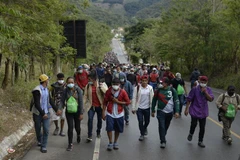 Người tị nạn Honduras di chuyển qua Camotan, Guatemala trong hành trình tới Mỹ ngày 16/1. (Ảnh: AFP/TTXVN)