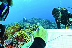 GOC vừa công bố kế hoạch tám điểm cứu các đại dương