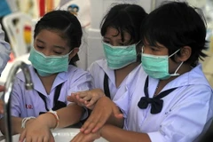 Số ca nhiễm chân tay miệng ở quốc đảo Sư tử tăng mạnh