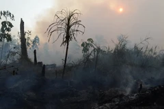 Malaysia kêu gọi Indonesia phản ứng tức thời với vấn đề khói bụi