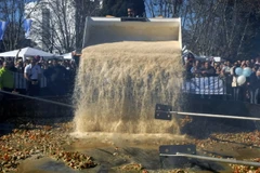 [Photo] Đầu bếp Argentina nấu nồi cơm gà lớn nhất thế giới