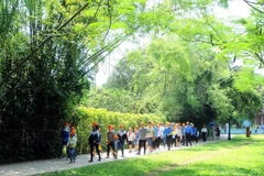 [Photo] Lượng khách du lịch đến Nghệ An tăng cao dịp 19/5