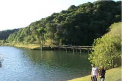 Curitiba - Một lăng kính mới về xứ sở Samba đầy nắng và gió