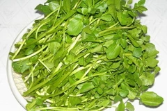 10 cách giải độc và trẻ hóa làn da đơn giản