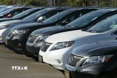 Ảnh minh họa. (Nguồn: TTXVN)