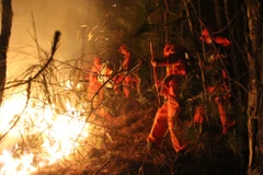 [Photo] Hơn 2.500 người tham gia chữa cháy rừng ở Vân Nam