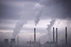 Nhu cầu than đá tại thị trường châu Á dự kiến phục hồi 