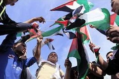 Ảnh chỉ có tính minh họa.