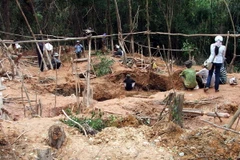 Không có đá saphia hay thạch anh tinh thể tại Đắk Lắk