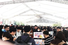 Những hội chợ sách với giá ưu đãi luôn thu hút rất đông độc giả. (Ảnh: PV/Vietnam+)